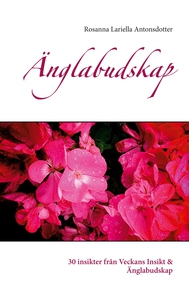 Änglabudskap: 30 insikter från Veckans Insikt &