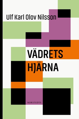 Vädrets hjärna (e-bok) av Ulf Karl Olov Nilsson