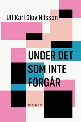 Under det som inte förgår (e-bok) av Ulf Karl O