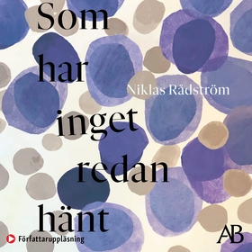 Som har inget redan hänt (ljudbok) av Niklas Rå