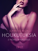 Houkutuksia: 5 novellia aikuisille