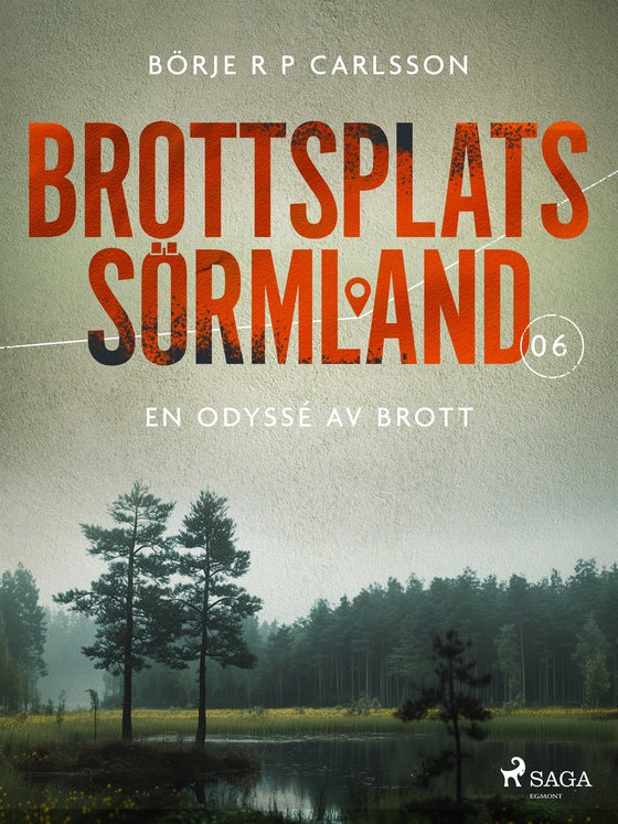 Brottsplats Sörmland. 6, En odyssé av brott