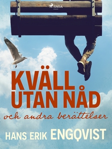 Kväll utan nåd och andra berättelser (e-bok) av