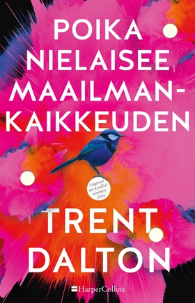 Poika nielaisee maailmankaikkeuden (e-bok) av T
