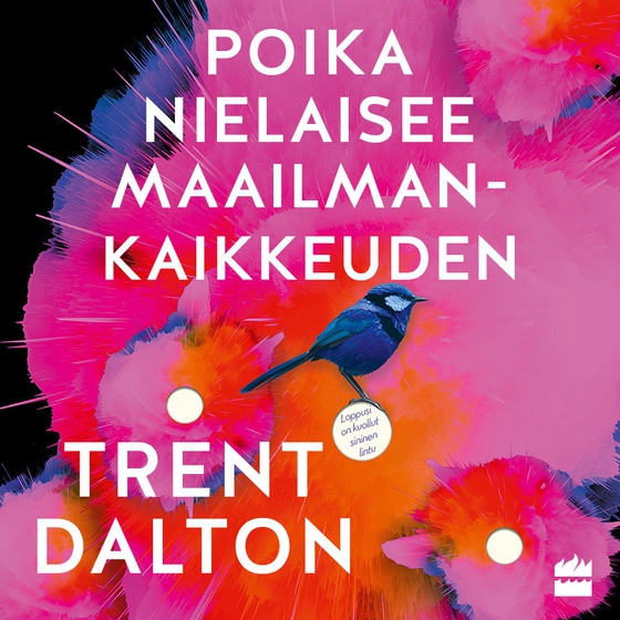 Poika nielaisee maailmankaikkeuden