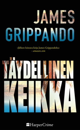 Täydellinen keikka (e-bok) av James Grippando