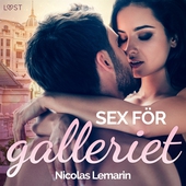 Sex för galleriet - erotisk novell