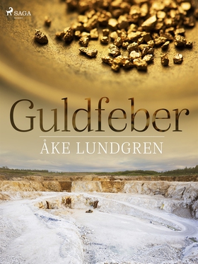 Guldfeber (e-bok) av Åke Lundgren