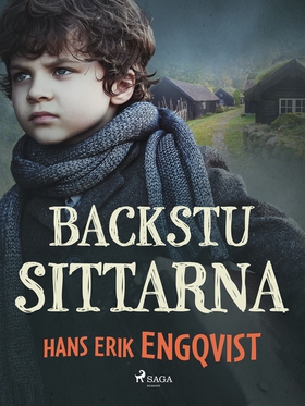 Backstusittarna (e-bok) av Hans Erik Engqvist