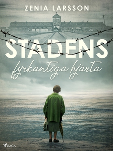 Stadens fyrkantiga hjärta (e-bok) av Zenia Lars