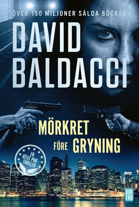 Mörkret före gryning (e-bok) av David Baldacci
