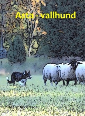 Asta - vallhund (e-bok) av Märit Andersson