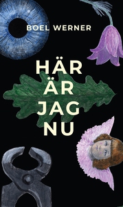 Här är jag nu (e-bok) av Boel Werner