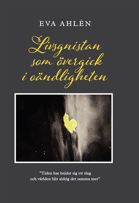 Livsgnistan som övergick i oändligheten (e-bok)