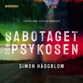 Sabotaget och psykosen (ljudbok) av Simon Häggb