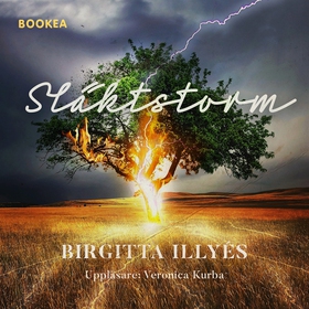 Släktstorm (ljudbok) av Birgitta Illyés
