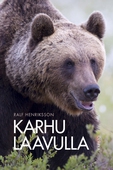 Karhu laavulla