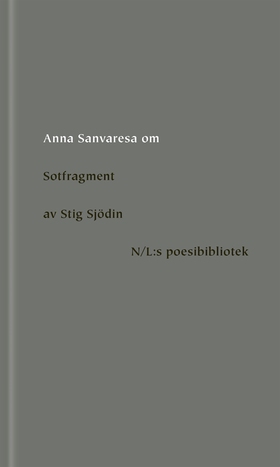 Om Sotfragment av Stig Sjödin (e-bok) av Anna S