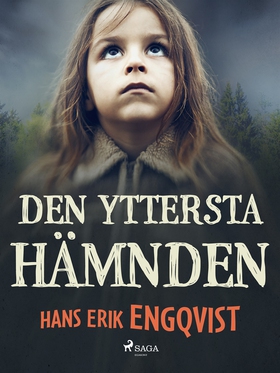 Den yttersta hämnden (e-bok) av Hans Erik Engqv
