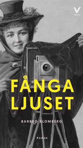 Fånga ljuset (e-bok) av Barbro Blomberg