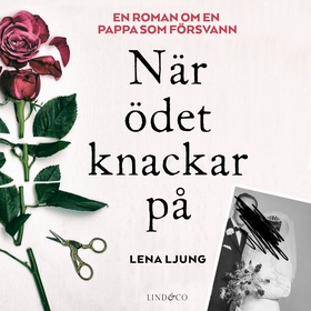 När ödet knackar på (ljudbok) av Lena Ljung