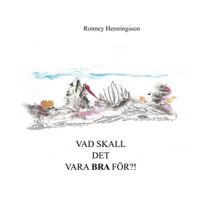 Vad skall det vara bra för?! (e-bok) av Ronney