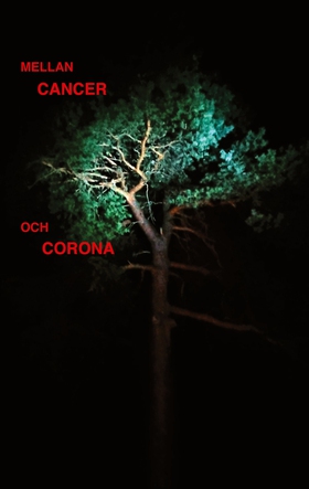 Mellan cancer och corona (e-bok) av Anita Börli