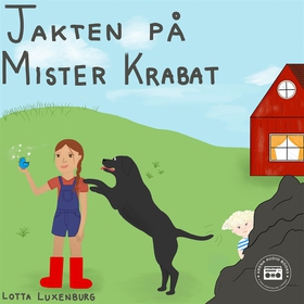 Jakten på Mister Krabat (ljudbok) av Lotta Luxe