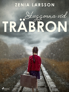 Skuggorna vid träbron (e-bok) av Zenia Larsson