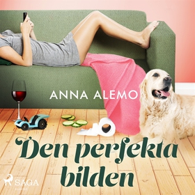 Den perfekta bilden (ljudbok) av Anna Alemo