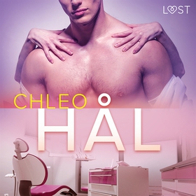 Hål - erotisk novell (ljudbok) av Chleo