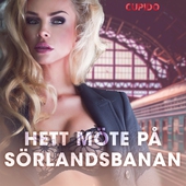 Hett möte på Sörlandsbanan - erotiska noveller