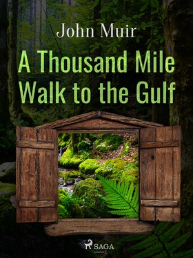 A Thousand Mile Walk to the Gulf (e-bok) av Joh