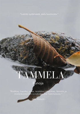 Tammela (e-bok) av Markku Heino