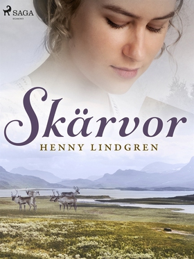 Skärvor (e-bok) av Henny Lindgren