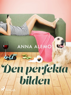 Den perfekta bilden (e-bok) av Anna Alemo