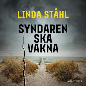 Syndaren ska vakna (ljudbok) av Linda Ståhl
