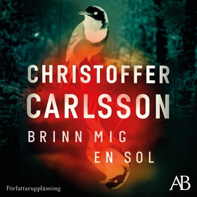 Brinn mig en sol (ljudbok) av Christoffer Carls