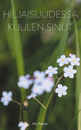 Hiljaisuudessa kuulen sinut (e-bok) av Mia Pelt