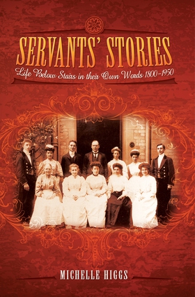 Servants' Stories (e-bok) av Michelle Higgs