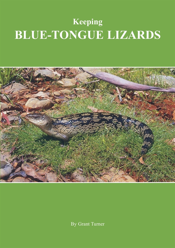 Keeping Blue-Tongue Lizards