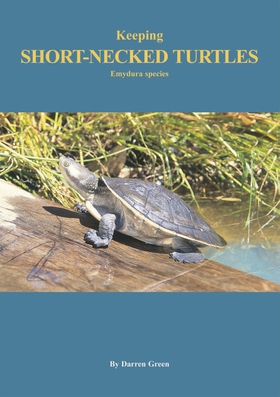 Keeping Short-necked Turtles Emydura species (e