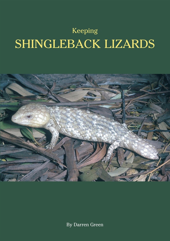 Keeping Shingleback Lizards