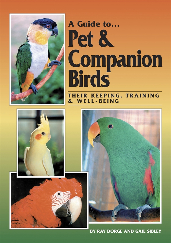 A Guide to Pet and Companion Birds