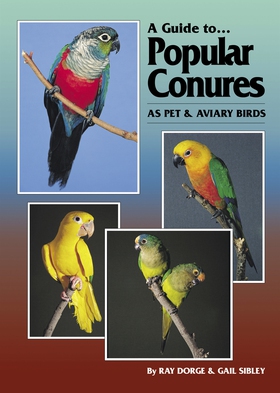 A Guide to Popular Conures as Pet and Aviary Bi