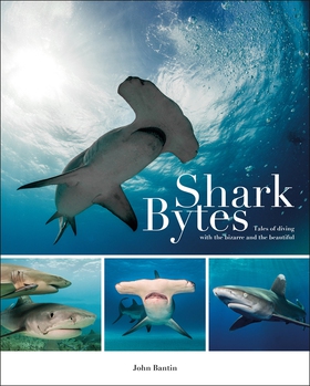 Shark Bytes (e-bok) av John Bantin