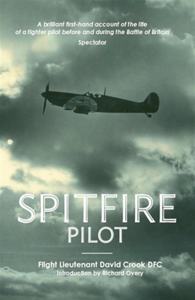 Spitfire Pilot (e-bok) av Flight Lieutenant Dav