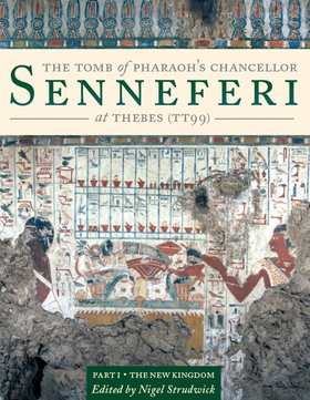 The Tomb of Pharaoh’s Chancellor Senneferi at T