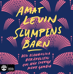 Slumpens barn : den osannolika berättelsen om n