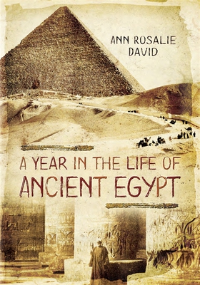 A Year in the Life of Ancient Egypt (e-bok) av 